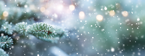 Natural winter scenery with snowflakes and festive golden bokeh for a holiday concept. Background with short depth of field and space for text.